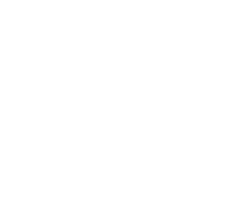 Bergisel Innsbruck Logo