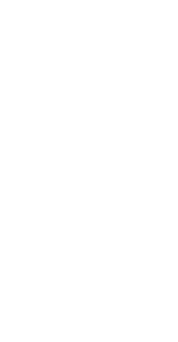 Baumwipfelpfad Schwarzwald Logo